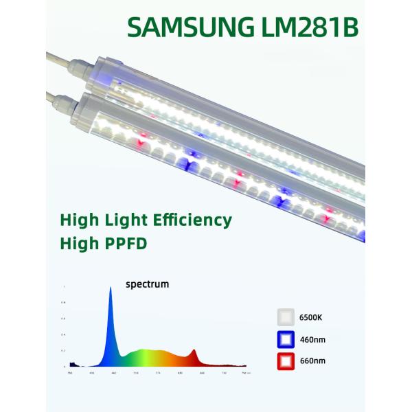 4 Foot T8 Grow Lights 1.2M 18W 25W 36W Red Blue LED Plant Grow Light