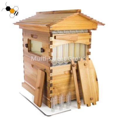 L'apiculture en bois 18mm Honey Bee Flow Bee Hive