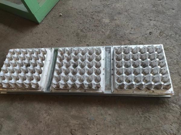 1000pcs/h Paper Egg Tray Machine Egg Carton Machine Semi-automatic For Small Business