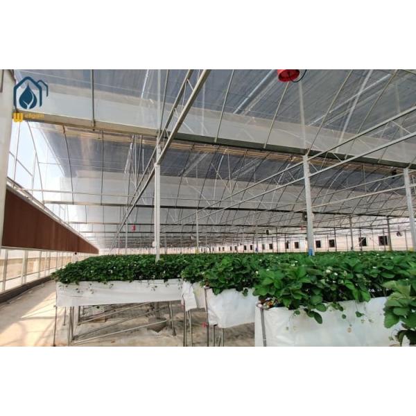 Hydroponic PVC Growing Trough Large Strawberry Gutter System