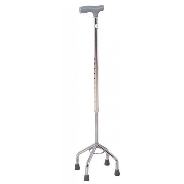 Cane