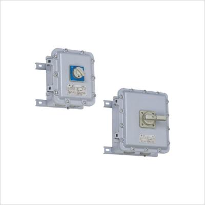 BLK Series Explosion Proof Motor Switches (Ex D IIB) 16A 32A 63A 1P 2P 3P 4Pole