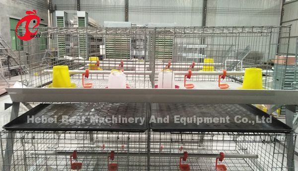 Save Space Poultry Broiler Chicken Cage Low Carbon Steel Wire In Africa  Adela