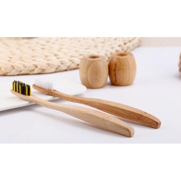 Oral Care Completely Biodegradable Toothbrush 190mm Earth Friendly