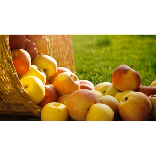 CAS 65072-01-7 Amino Acid Chelate Calcium