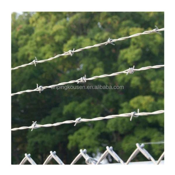 Length 20m/25m/30m/50m/Roll STAINLESS STEEL WIRE Razor Barbed Wire for Fence Security