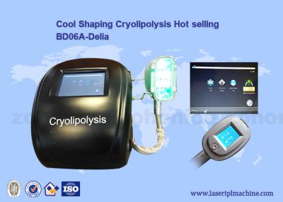 Máquina profissional do emagrecimento do corpo do cryolipolysis do equipamento da beleza