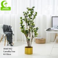 arbre artificiel de ficus de biens de 150cm. Camellia Tree With White Flower artificielle