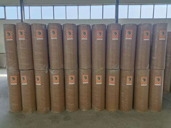High Quality 9 Gauge 1x1Inch Galvanized Welded Wire Mesh Hardware Cloth For Garden Fence