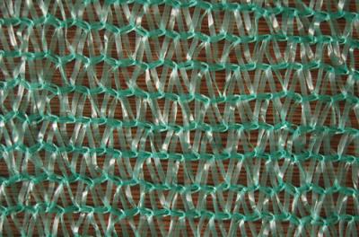 Luz - anti UV da rede verde da máscara da agricultura com resistência de alta elasticidade
