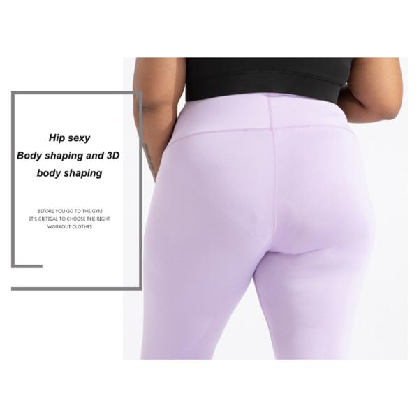 Пурпур женщин атлетический мягкий плюс Tummy брюк йоги размера контролирует высокую резинку