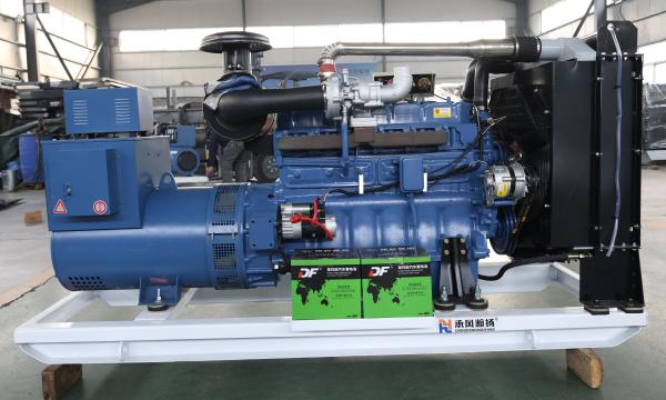 Versatile Ricardo Diesel Generator 50Hz/60Hz 30L-5000L Fuel Tank Capacity for Industrial Commercial and Residential
