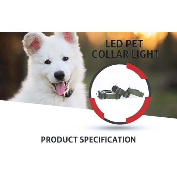 Polyster Nylon Dog Collars High - Impact Plastic Buckle With Green Color