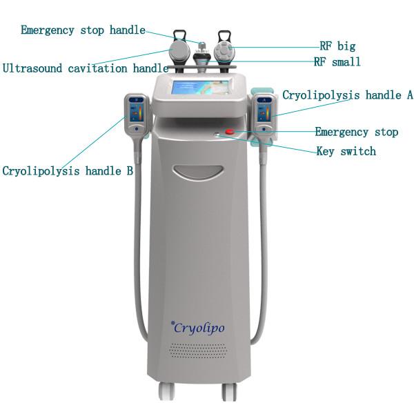2019 Most Popular Smart Freezing Cryolipolysis Machine for Weight Loss/Plastic Surgery