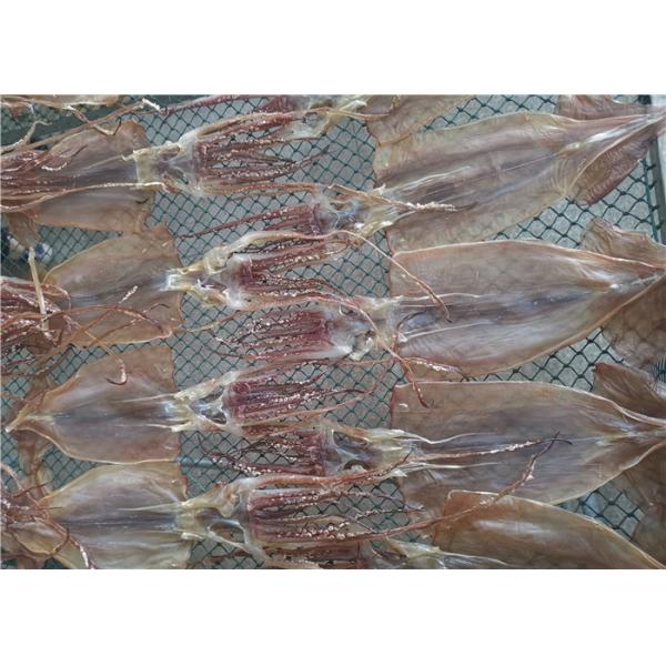 Bulk Seafood 80g 90g Whole Dried Squid For Restaurant
