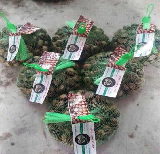 супермаркета сумки сетки подарка ПЭ Мульти-цвета сумка упаковки пластикового небольшая чистая для овощей