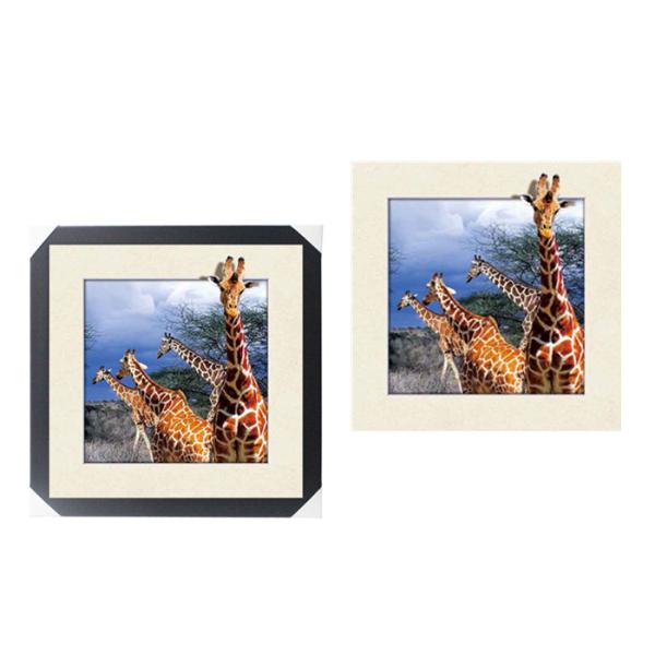 Lovely Cute Animal Art Printing 5d Lenticular Picture / HD Animal Pictures