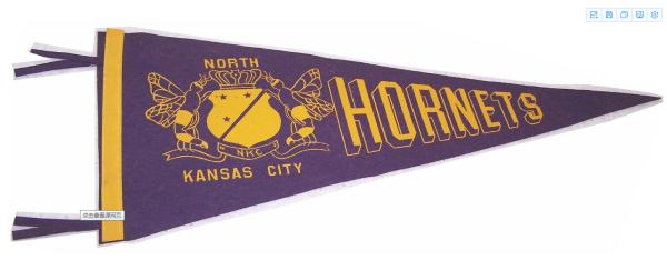 OEM Logo Printed Felt Pennant Banner , Indoor High School Pennant Flags