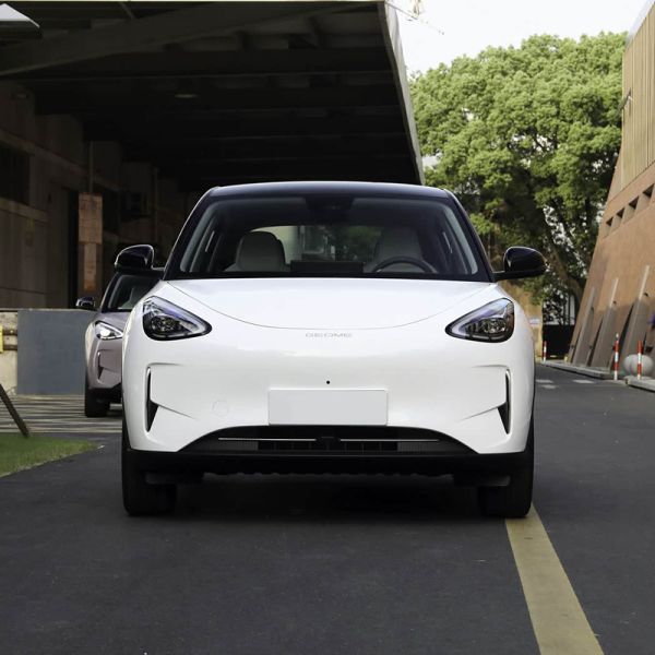 Hot Selling 410km Long Range 2025 Geely Geome Star Wish EV - Eco-Friendly Compact Electric Car