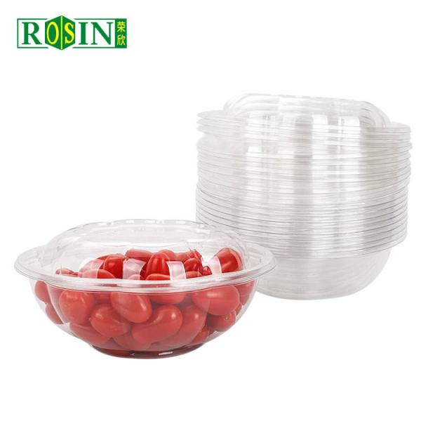 Envases de frutas de plástico PET de calidad alimentaria Resistencia al frío Envases desechables para ensaladas