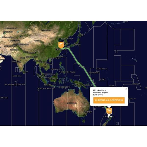 Competitive Rates Air Freight Shipping China To AKL Air Cargo Companies