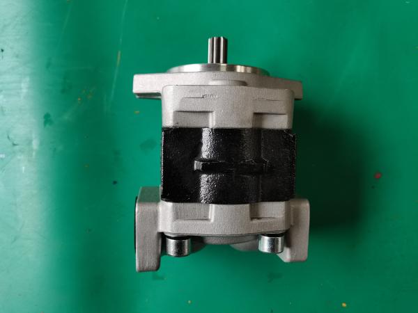 Bomba de engrenagem Siver do ferro SGP1-F23-ALΦ9R e cor preta