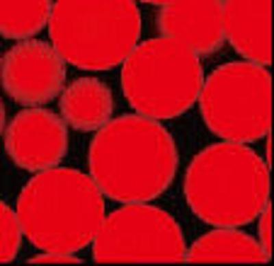 N - Hydroxy Succinimide Nanoparticle NHS Activated Magnetic Beads 30 - 150 μm 1 mL