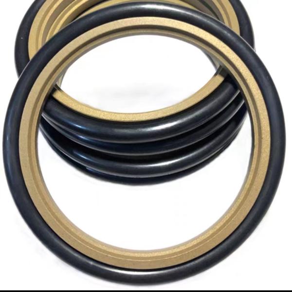 FKM Sceau à huile résistant à l'usure et à la corrosion pour les applications à haute pression