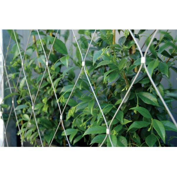 Flexible Inox Wire Rope Plant Trellis , Plant Climbing Green Wall Mesh