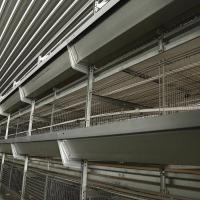 Contrôle complet commercial d'ODM d'OEM de cage de poulet de couche de hangar de volaille