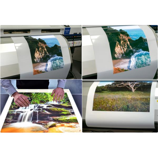 Фильм освещенный контржурным светом растворителем полиэстер 205 микронов, штейновая печать освещенная контржурным светом бумага фильма