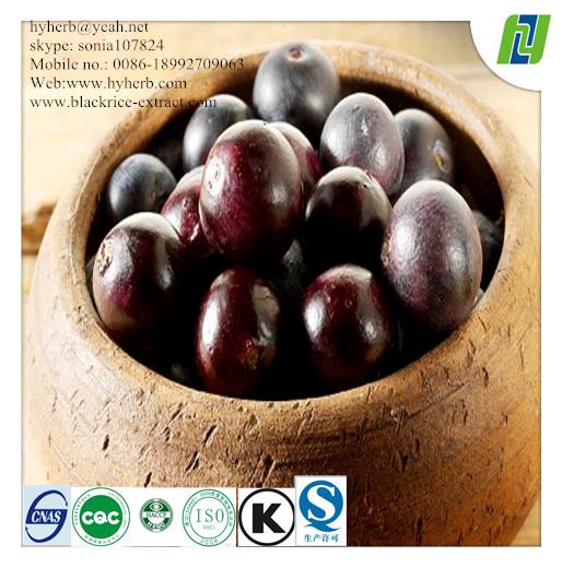 5:1 10:1 20:1 Water Soluble Acai Berry Extract
