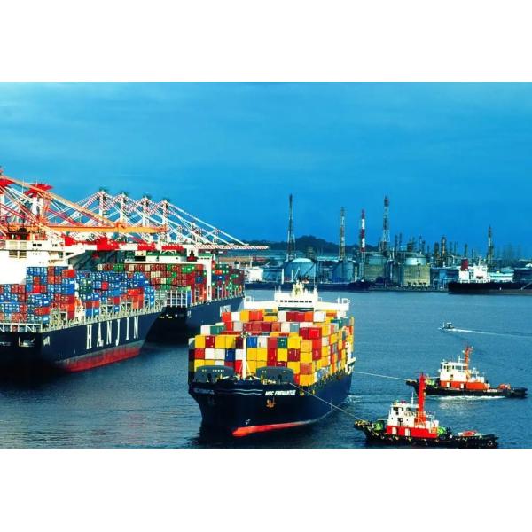 Международный агент товароотправителей перевозки моря FBA грузя к Америке/Канаде