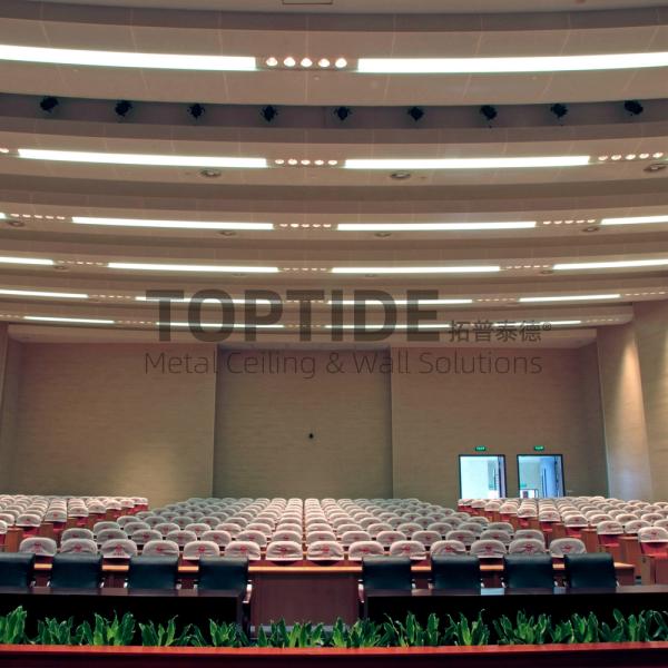 Interior Exterior 4.0mm Curved Acoustic Ceiling Board Cloud Ceiling Panels