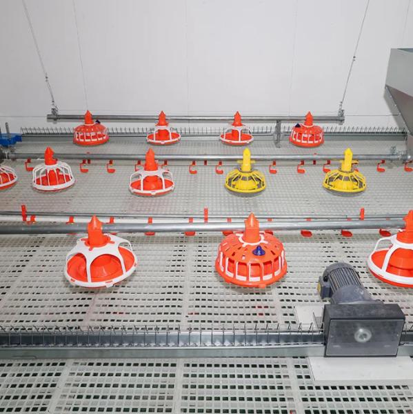 Custom Automated Poultry Equipment with Hot-Dip Galvanized Steel Anti-Spillage Design and Nipple Drinkers