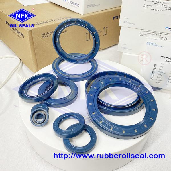 Aging Resistant Hydraulic Oil Seals