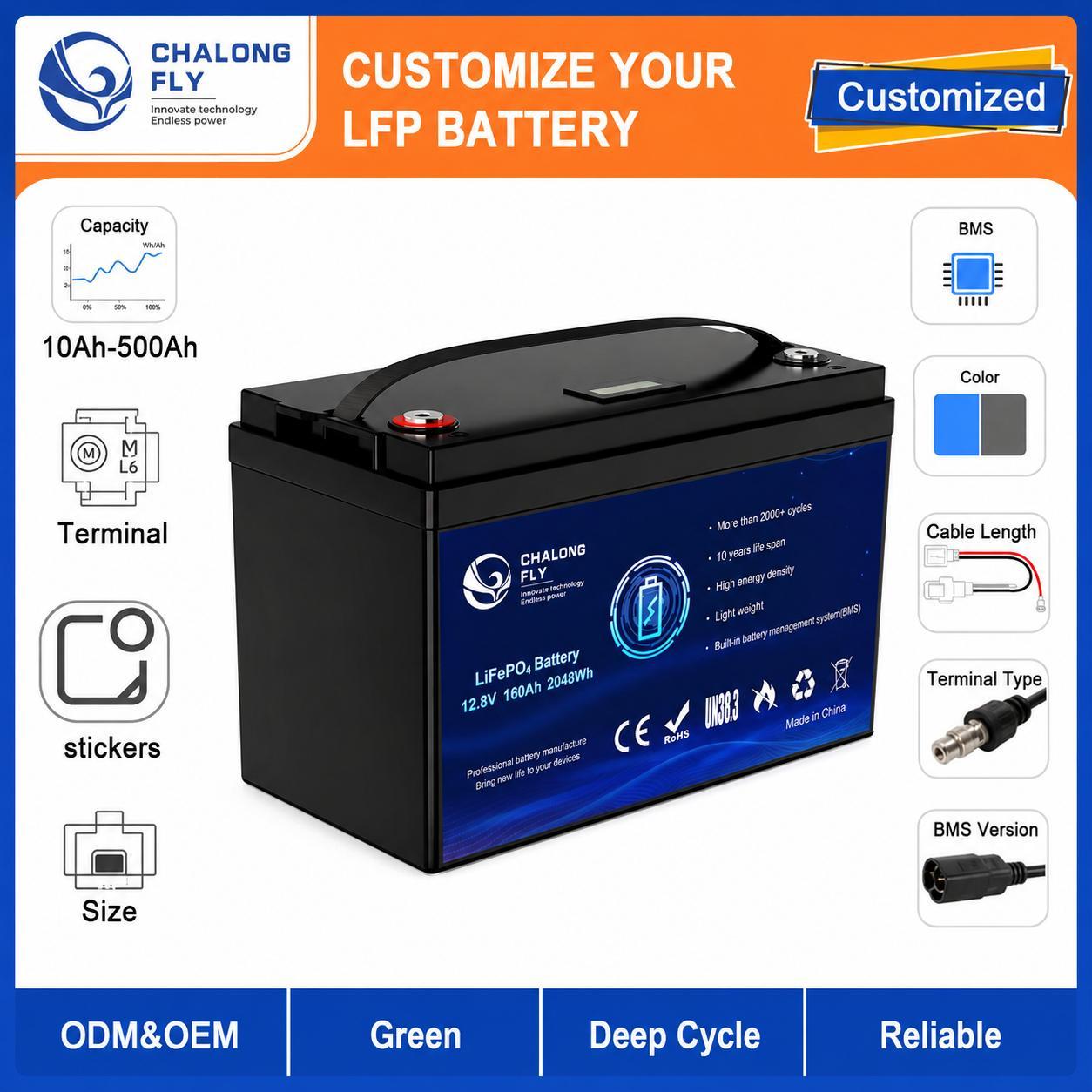 Custom 12.8V 200Ah LiFePO4 Battery Pack with BMS for Portable Power and Solar Storage