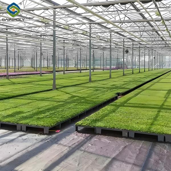 Agricultural Multispan Greenhouse Complete Hydroponic Nft Greenhouse