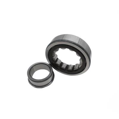 45x85x19mm Cylindrical Roller Bearing Single Row Washing Machine Nj 209 Bearing