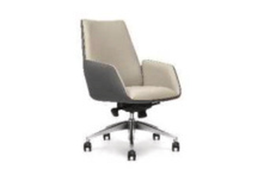 FEICHI Executive Desk FC-LB1230-Private Office