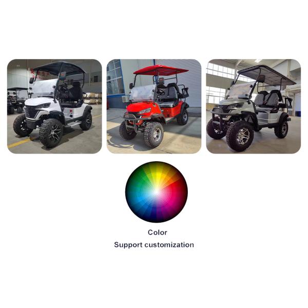 48V LiFePO4 Battery Electric Golf Cart Vehicle Luxury 4 Seater Scooter for Sal