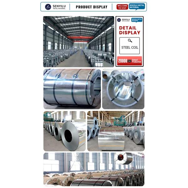 Ppgi Ppgl Prepainted Dx51d Galvanized Steel Coils Metal