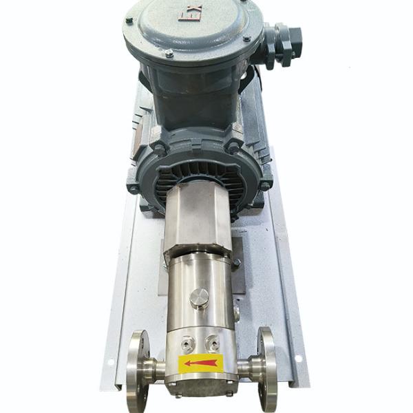 Pompe rotatoire 10-650 t/mn de lobe d'acier inoxydable de la CE de grande