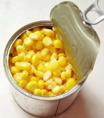 Canned Sweet Corn Multi Specification Supply Mygou Foods