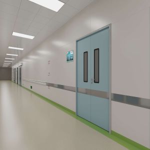 Customized Swing Airtight Door Manual Double Leaf Steel Door For Pharmaceutical Cleanrooms