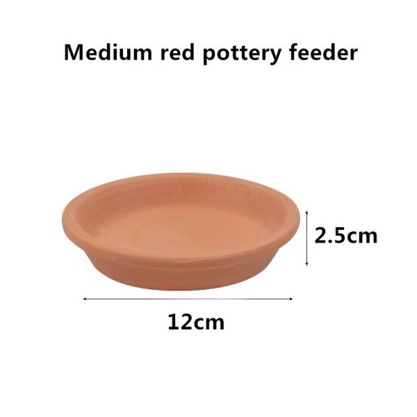 Взбираясь плиты еды ящерицы лягушки предохранителя плиты обедающего черепахи любимца плита керамической выпивая