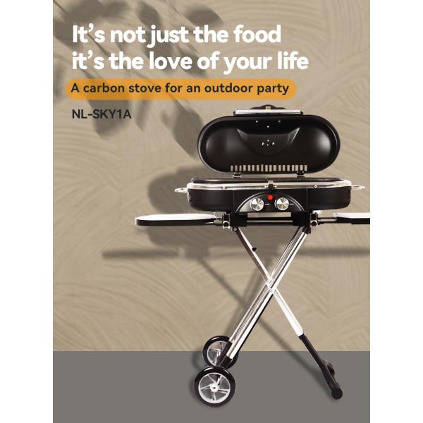 Custom Design Camping Outdoor BBQ Grill Portable Griller Charcoal for Outdoor Cooking