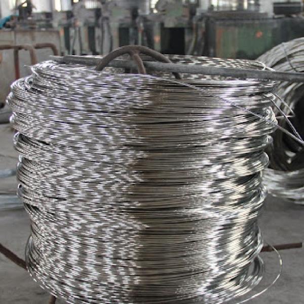 Fio de aço da mola 631 inoxidável