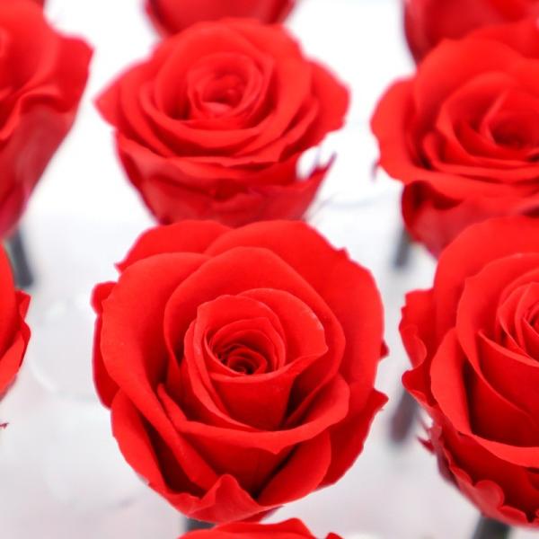 Handmade Preserved Roses Live , Real Touch Flower Decoration For Wedding Reception