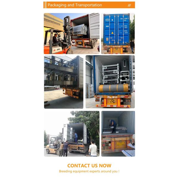 Galvanized Light Steel Frames Broiler Chicken House with Low Maintenance Required and Modular/Panelized Installation Poultry Farming Equipment